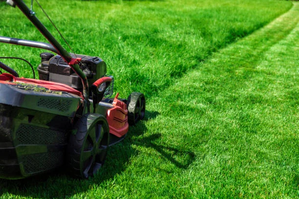 lawn mower cutting lush grass in Montgomery, TX