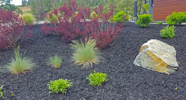 freshly mulched flowerbed in Montgomery, TX