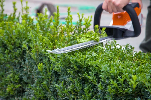 shrub trimming for well‑manicured hedges